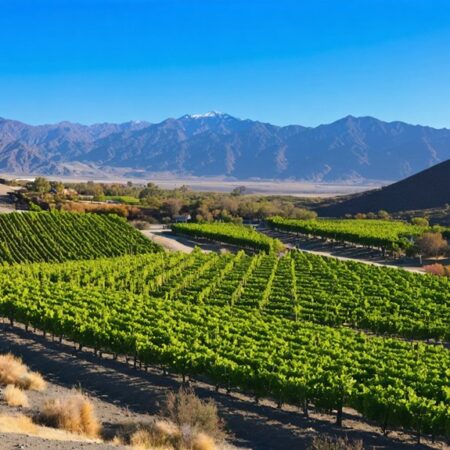 Valle de Elqui – Chile