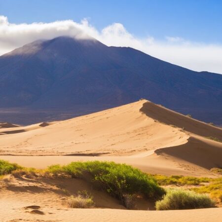 Cerro De Arena – Chile